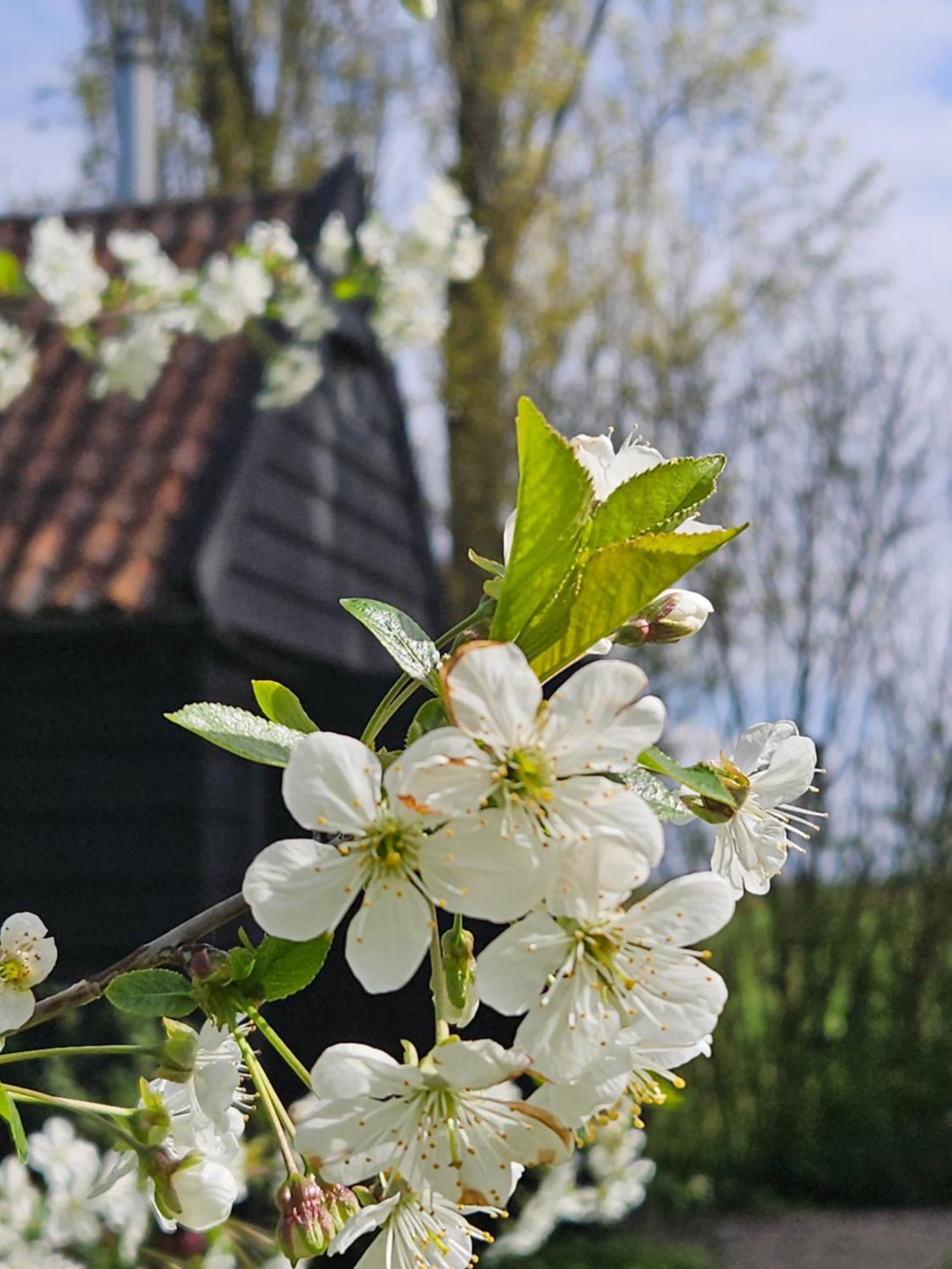 De Zeeuwsche Hoeve Kerkwerve Exterior foto